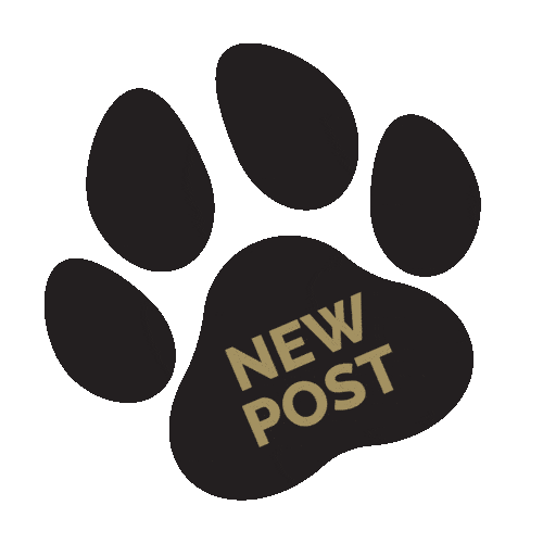 New Post Cats Sticker by Diamond Pet Foods