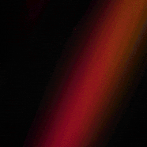 Dresden Go For Gold GIF by Die Finals