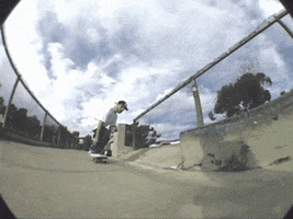 GIF by Shieldless Magazine