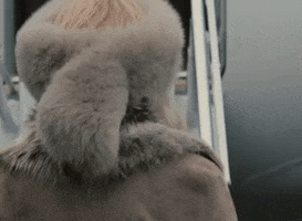Fur GIF