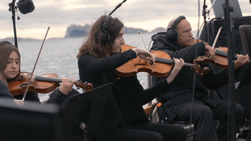 Photographer Photographedanslechamp GIF