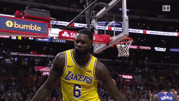 los angeles lakers nba GIF by Bleacher Report