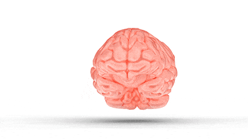 GIF by Matthew Butler