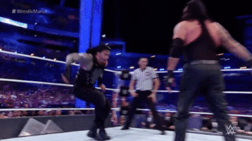roman reigns wrestling GIF by WWE