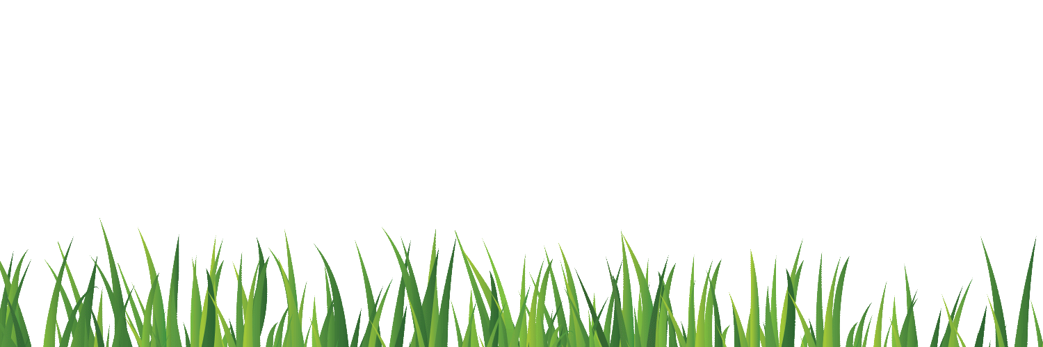 Sticker by Blue Buffalo for iOS & Android GIPHY