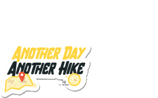 Treofit Sticker by Treo Homes