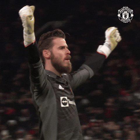Lets Go Win GIF by Manchester United