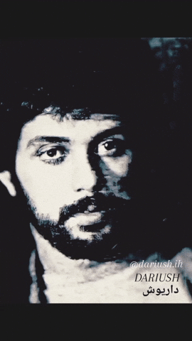 Darush GIF