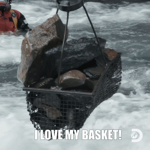 I Love Basket GIF by Discovery