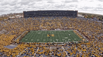 Go Blue Game Day GIF by University of Michigan