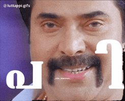 Pari Kifah GIF