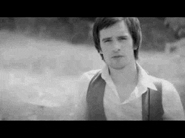sorry if it's lame panic! at the disco GIF