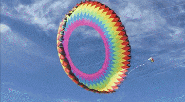 Cool Kite GIF