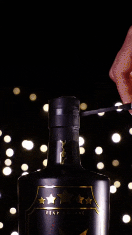 Ice Cubes Spirits GIF by L’Extase Cognac