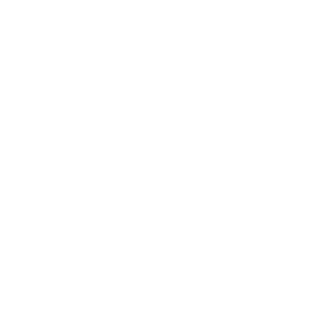 P1AY SPORTS ACADEMY Sticker