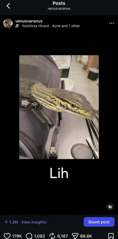Comments Lizard GIF