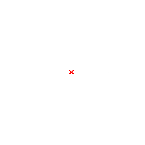 TEDxBlumenau Sticker