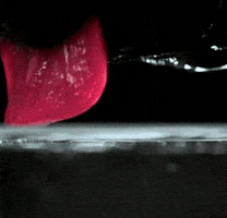slow motion drinking GIF