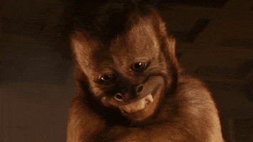 Movie gif. Dexter the Capuchin Monkey from Night at The Museum looks up with pleading puppy eyes and big toothy grin. 