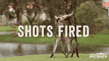 Shotsfired GIFs - Get the best GIF on GIPHY