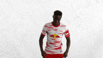 Football Yes GIF by RB Leipzig