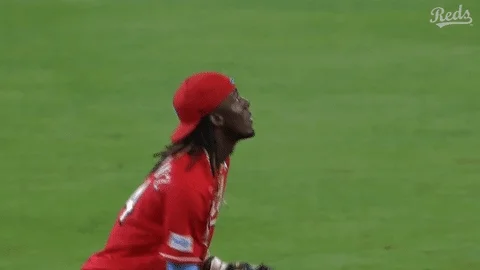 giphy.webp?cid=6c09b952sl45e9v5f6uhvq9y0