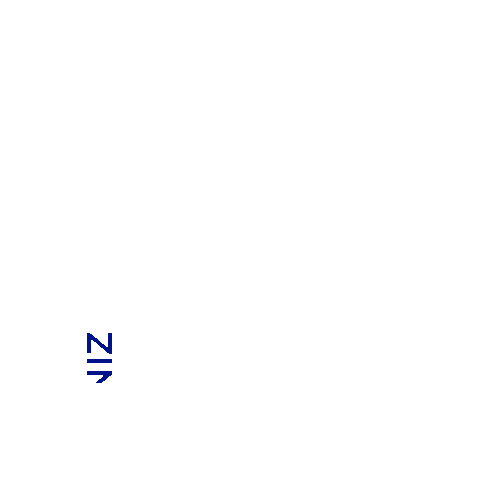 R DINIZ Sticker