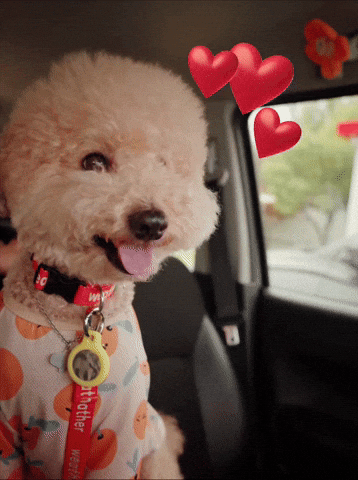 Namu GIF