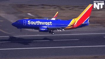 plane landing GIF by NowThis plane landing GIF by NowThis