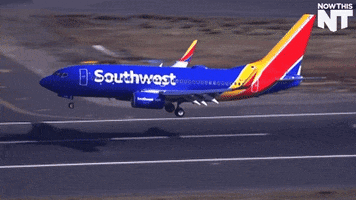 plane landing GIF by NowThis 