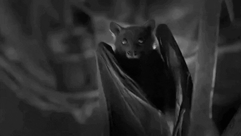 bat signal animated gif