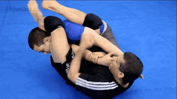 Mma GIF