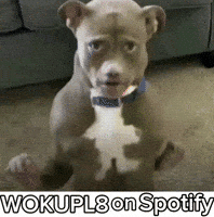 Disgust Are You Sure GIF