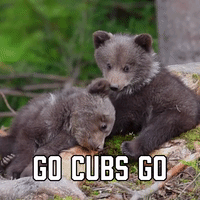 Go Cubs Go