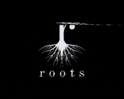 roots_basel GIF