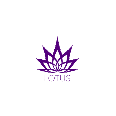 Heart Self Love Sticker by Lotus Toronto