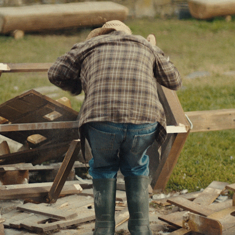 Holub GIF by Fio banka