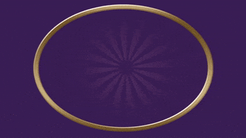 Santo Sabor Saudável GIF