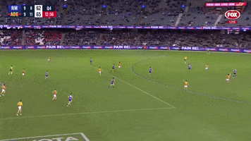 Left Foot Afl GIF by Adelaide Crows