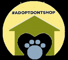 Mcspca GIF by Monmouth County SPCA