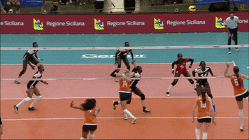 Happy Power GIF by Volleyball World