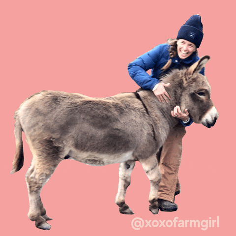 Donkey Dana GIF by xoxofarmgirl