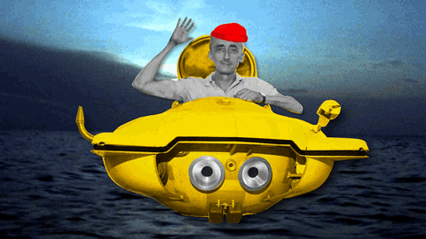 Cousteau meme gif