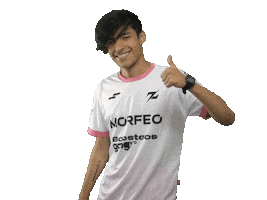 7z Esports Sticker