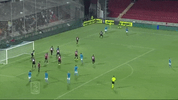 Nicolas Viola GIF