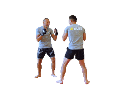 Gym Exercise Sticker by ASFITNESS