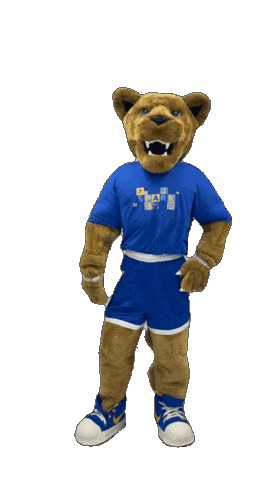 New York Hofstrau Sticker by Hofstra University