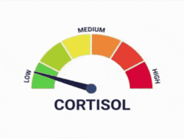 Stress Rev GIF