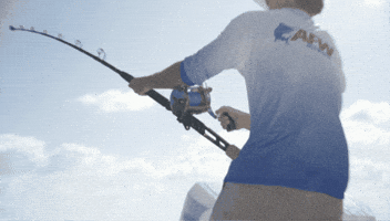 Fishing Line Fish GIF by AFW Fishing Brands