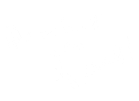 Sassy Do What You Want Sticker by Tobyilikecats